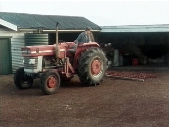 Massey Ferguson 165