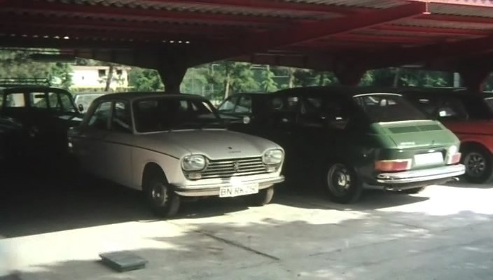 1969 Peugeot 204