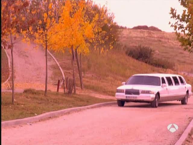 1995 Lincoln Town Car Stretched Limousine