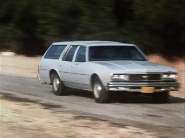 1979 Chevrolet Impala Wagon