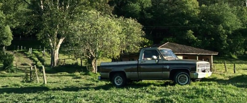 1983 Chevrolet C-10 Silverado Fleetside