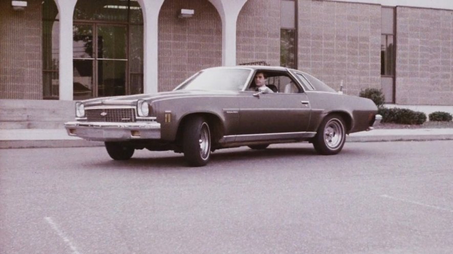 1973 Chevrolet Chevelle Malibu