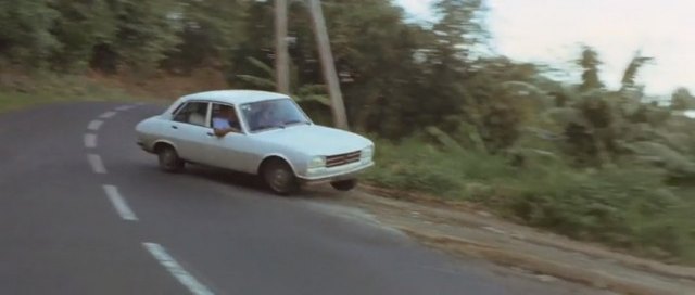 1975 Peugeot 504