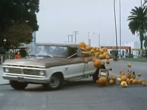 1973 Ford F-Series Regular Cab