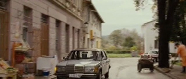 1980 Mercedes-Benz [W123]