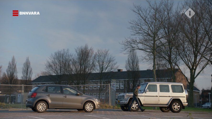 2010 Volkswagen Polo V [Typ 6R]