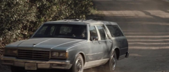 1980 Chevrolet Caprice Classic Station Wagon