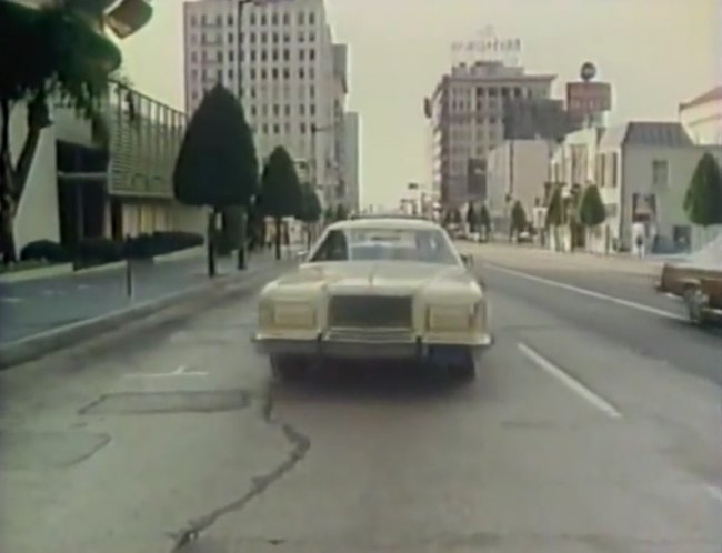 1976 Ford LTD Country Squire