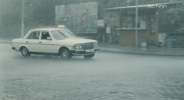 1980 Mercedes-Benz [W123]