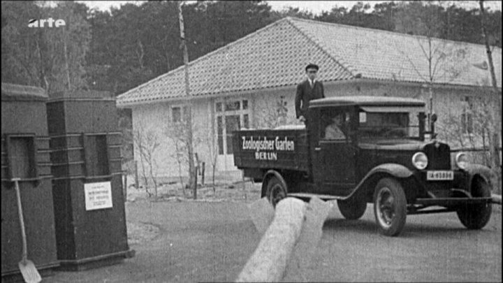 1929 Chevrolet 1½-Ton [LQ]