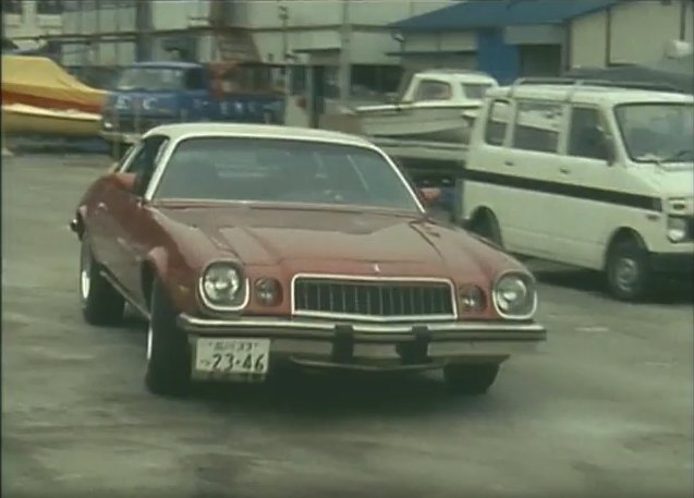 1976 Chevrolet Camaro Type LT