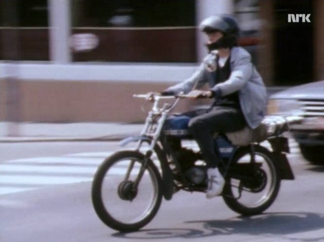 1973 Tempo Panter 50