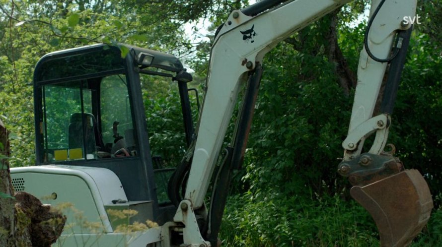 Bobcat Unknown