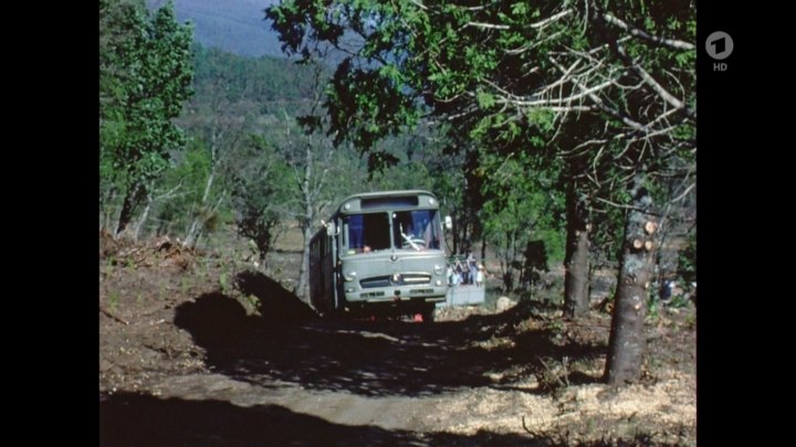 1957 Mercedes-Benz O 317