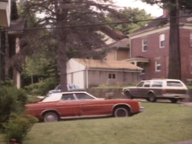 1977 Chevrolet Caprice Estate