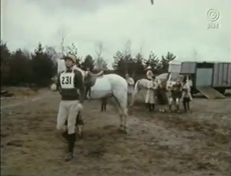 Bedford TK Horsebox