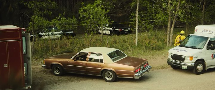 1979 Oldsmobile Delta 88