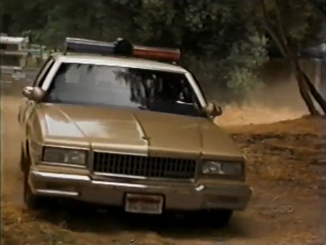 1987 Chevrolet Caprice