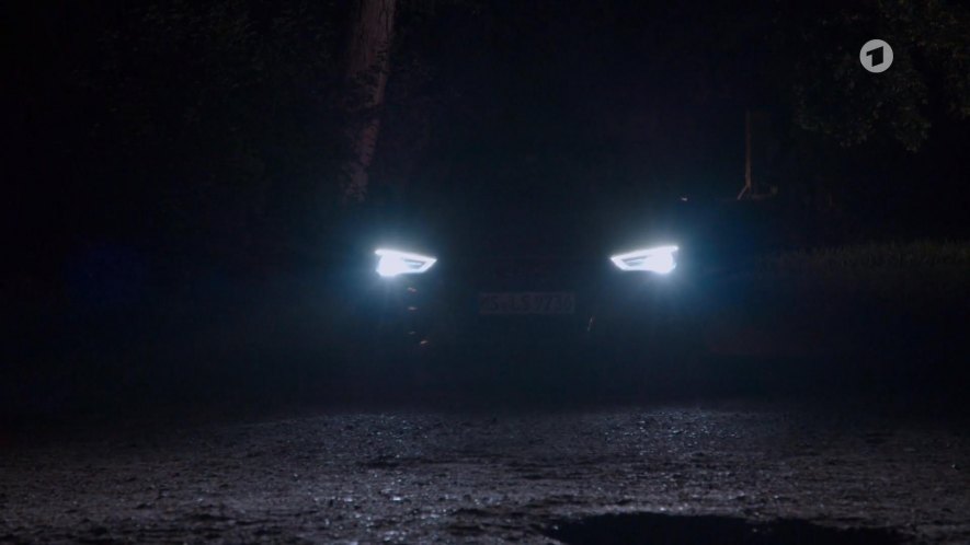 2013 Audi A3 Sportback [Typ 8VA]