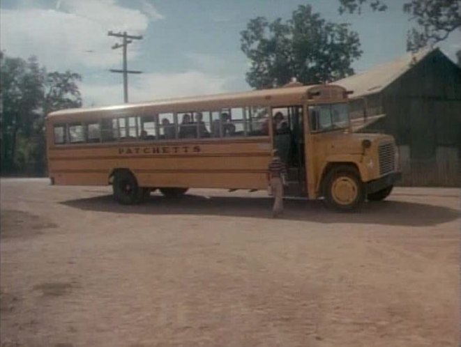 1975 International Harvester Loadstar Wayne