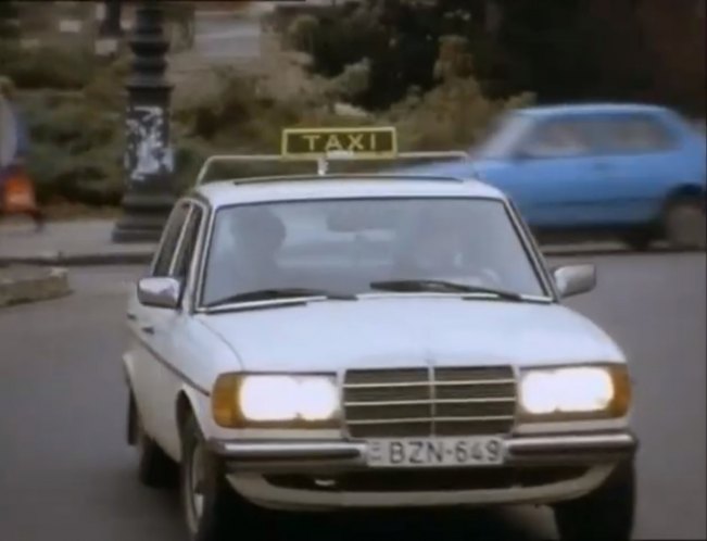 1983 Mercedes-Benz [W123]