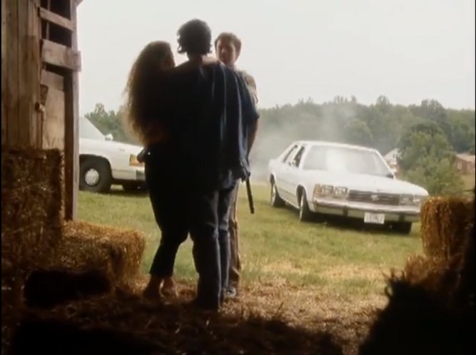 1991 Ford LTD Crown Victoria