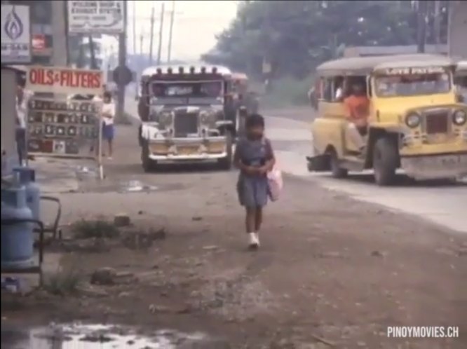 Custom Made 'Jeepney'