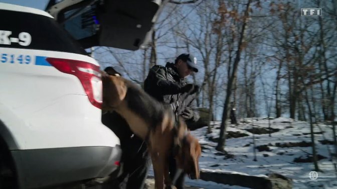 2013 Ford Police Interceptor Utility [U502]