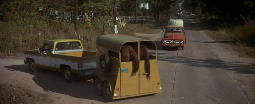 1974 Chevrolet C-Series Regular Cab