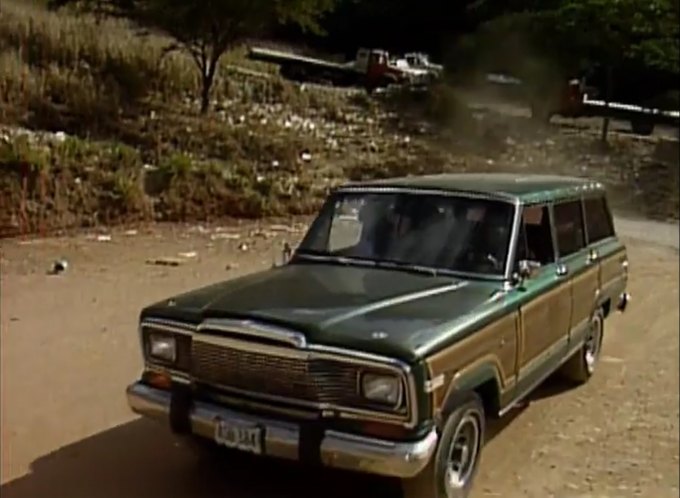 1979 Jeep Wagoneer Limited [SJ]