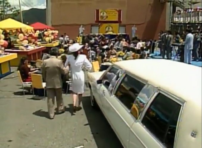 1981 Ford Grand Marquis Stretched Limousine