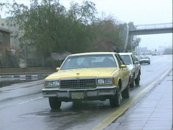 1980 Chevrolet Caprice Classic