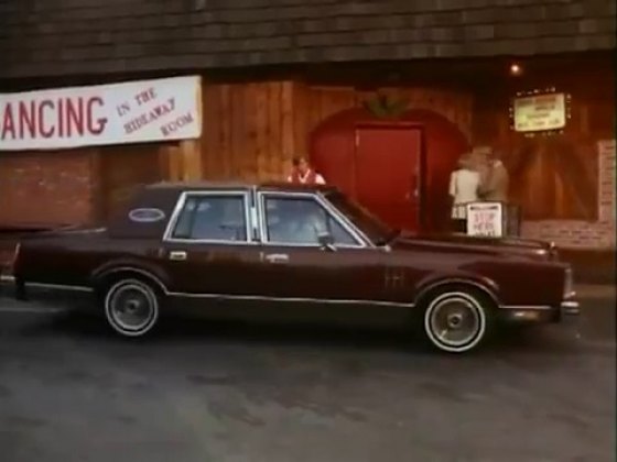 1980 Lincoln Continental Mark VI [54D]