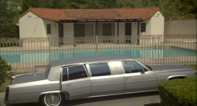 1981 Cadillac Sedan DeVille Stretched Limousine Dillinger/Gaines