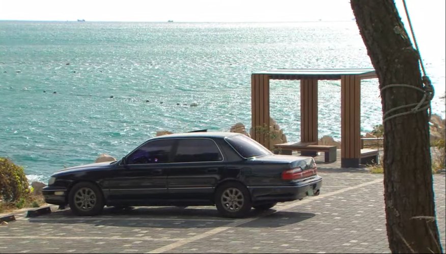 1996 Hyundai Grandeur [LX]