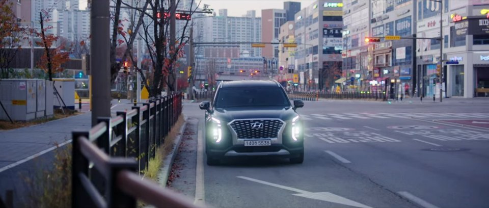 2019 Hyundai Palisade [LX2]