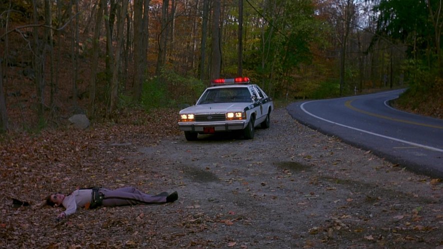 1988 Ford LTD Crown Victoria