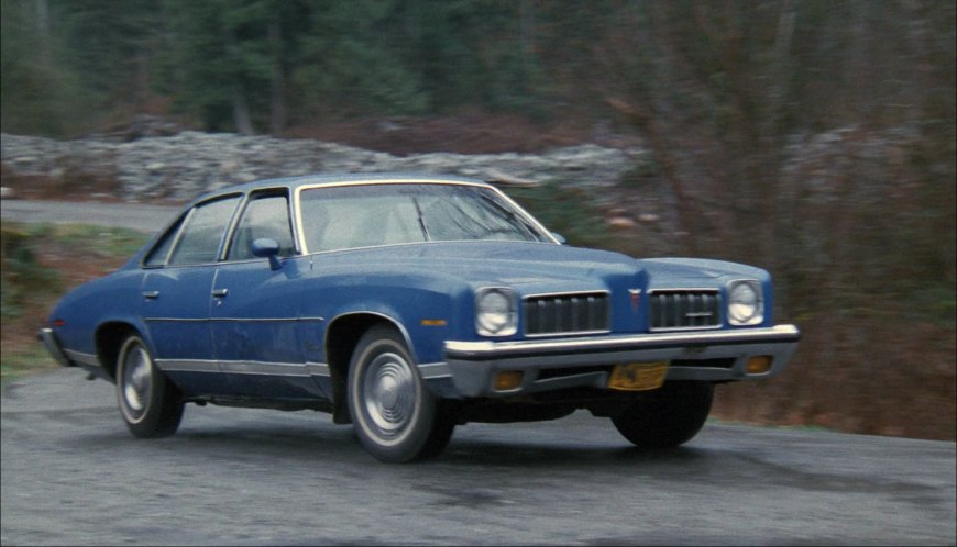 1973 Pontiac Luxury LeMans