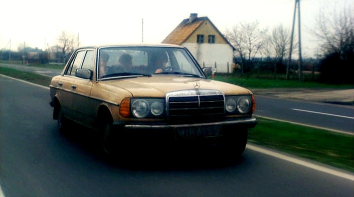 1976 Mercedes-Benz [W123]