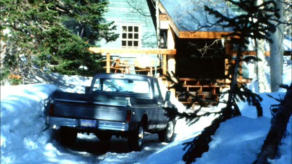 Chevrolet C-20 Cheyenne Fleetside