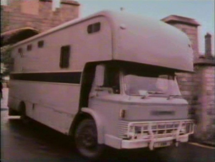 Ford D-Series Horse Box