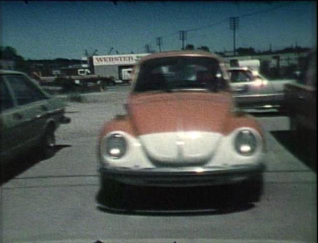 1973 Volkswagen Super Beetle [Typ 1]