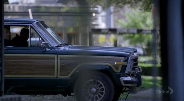 1987 Jeep Grand Wagoneer [SJ]