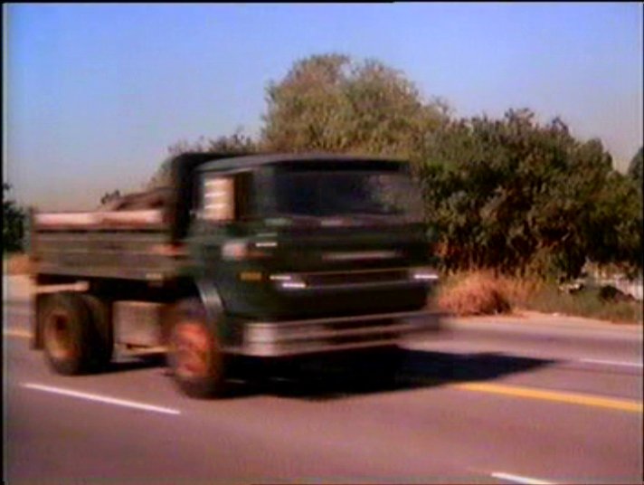 1970 International Harvester Cargostar