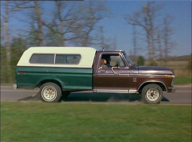 1976 Ford F-150 Regular Cab