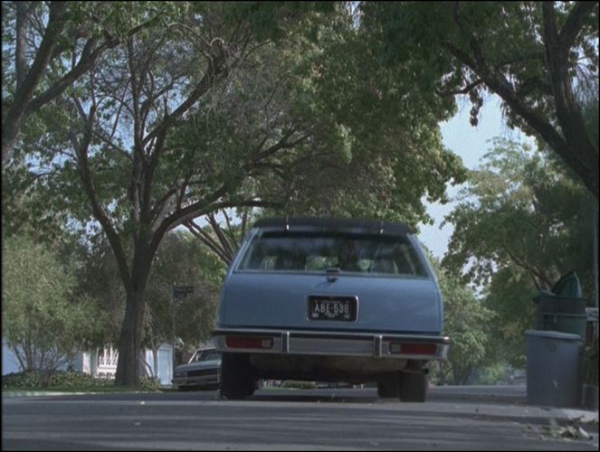 1980 Buick Century Wagon