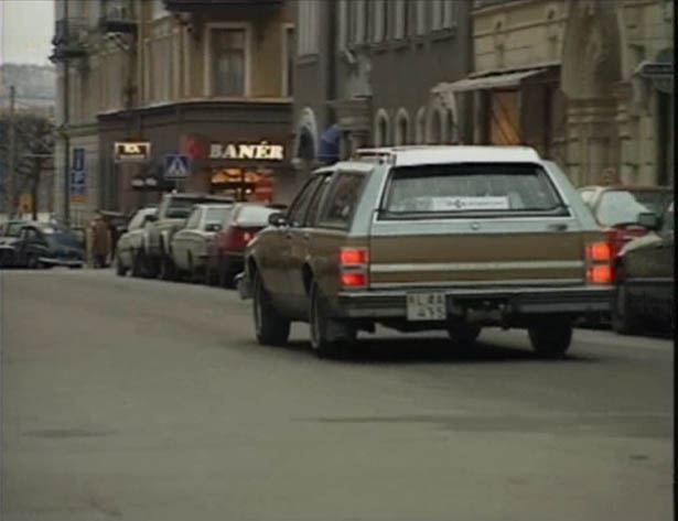 1981 Buick Electra Estate Wagon