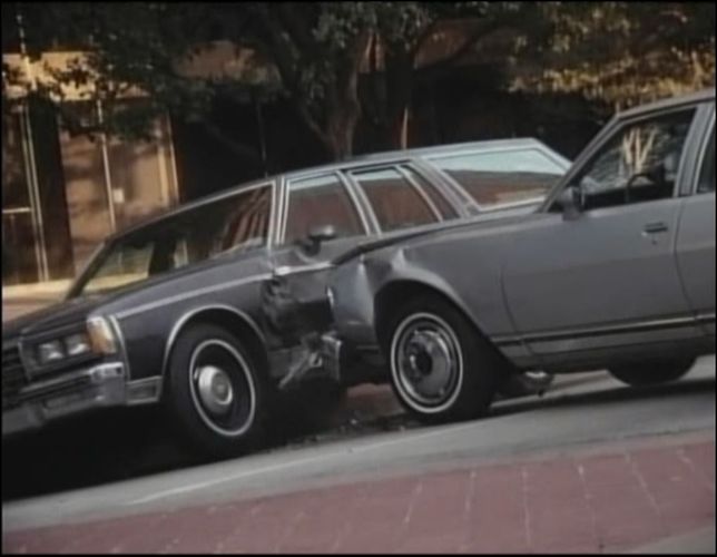 1980 Chevrolet Caprice Classic Wagon