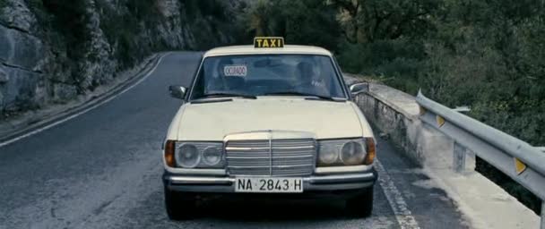 1976 Mercedes-Benz [W123]