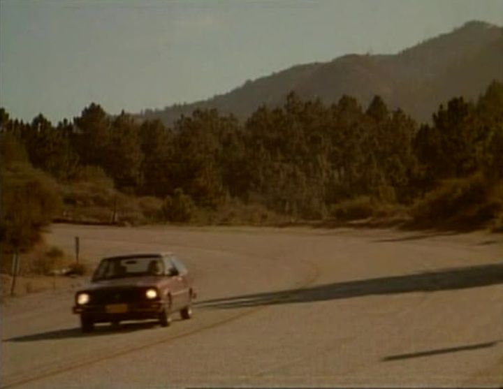 1979 Datsun 310 [N10]